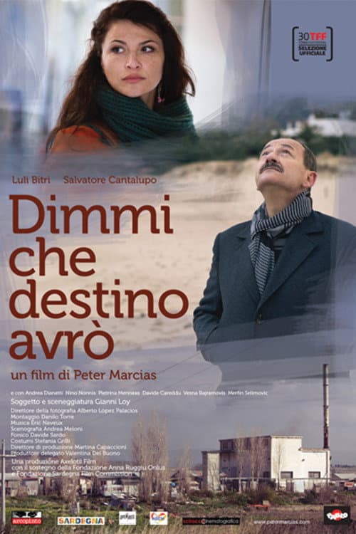 Dimmi che destino avrò (2012) poster