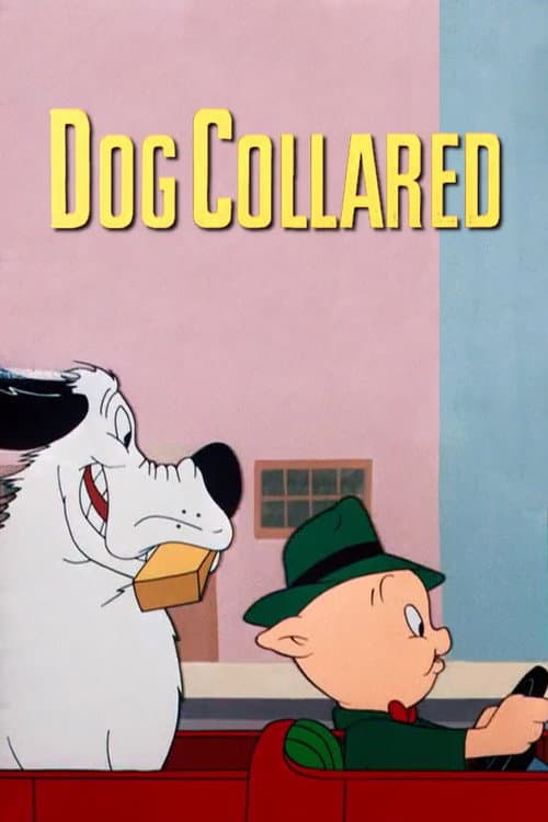 Dog Collared (1950) poster