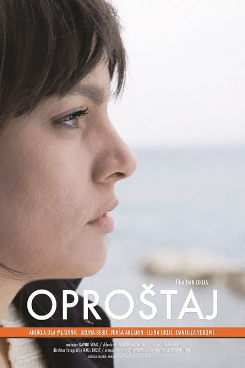 Oproštaj (2013) poster