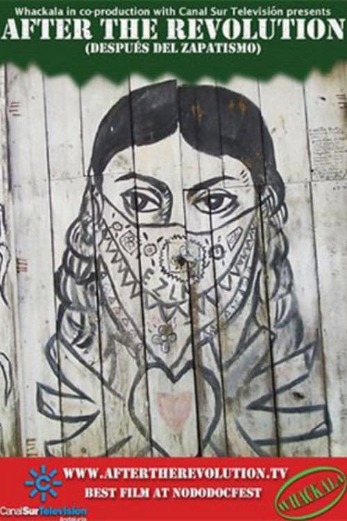 Después del Zapatismo (2010) poster