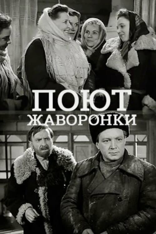 Поют жаворонки (1953) poster