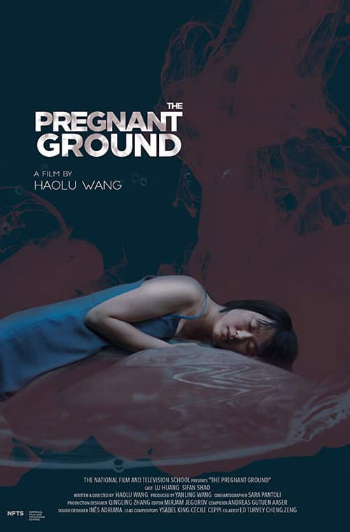 The Pregnant Ground (2019) poster