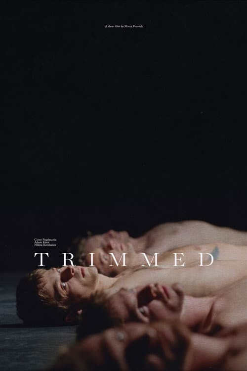 Trimmed (2027) poster