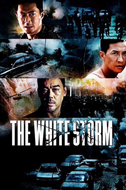 掃毒 (2013) poster