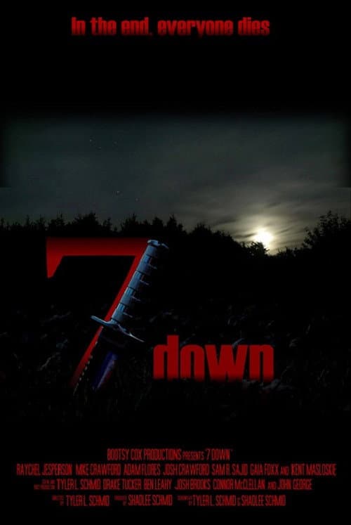 7 Down (2011) poster