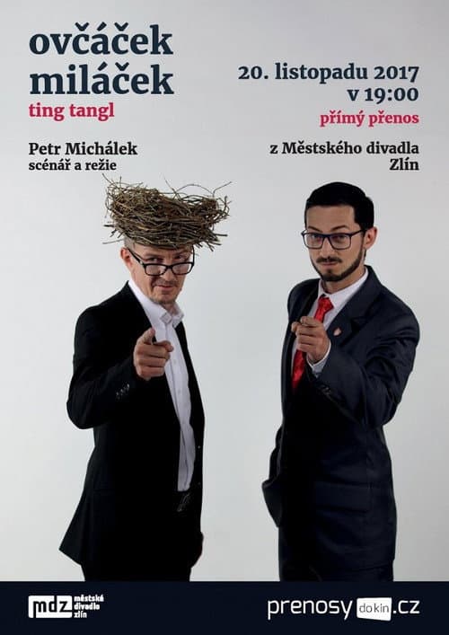 Ovčáček miláček (2017) poster