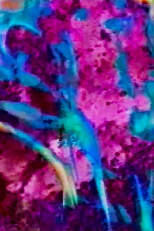 Chronos Fragmented (1995) poster