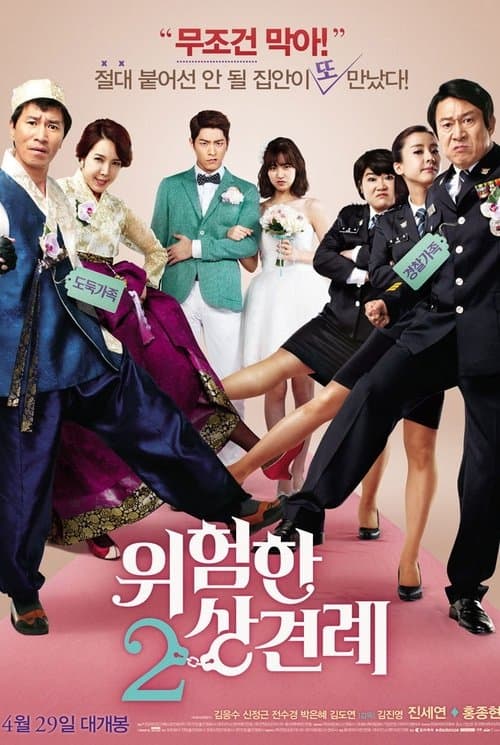 Enemies In-Law (2015) poster