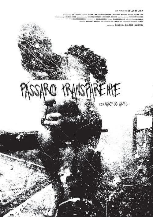 Pássaro Transparente (2017) poster