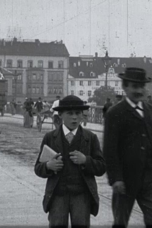 Pont sur le Rhin (1896) poster
