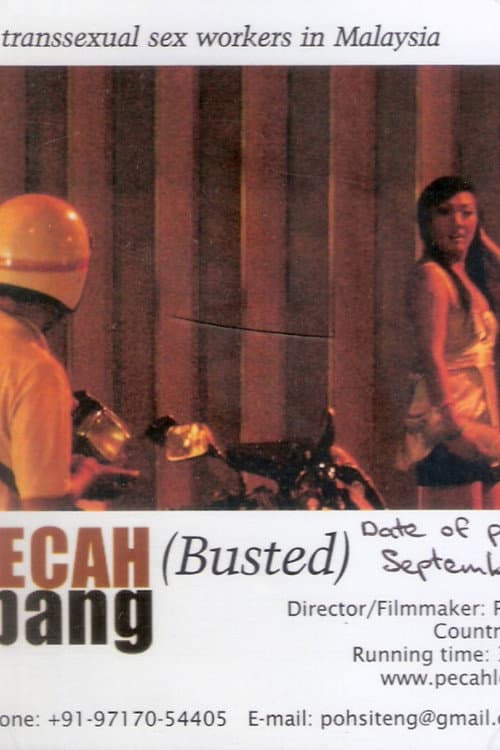 Pecah Lobang (2008) poster