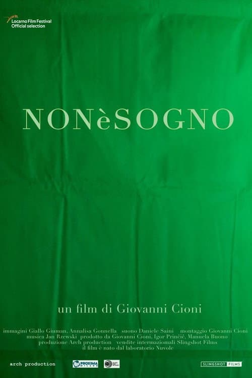 Non è sogno (2019) poster