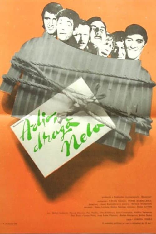 Adio, dragă Nela! (1972) poster