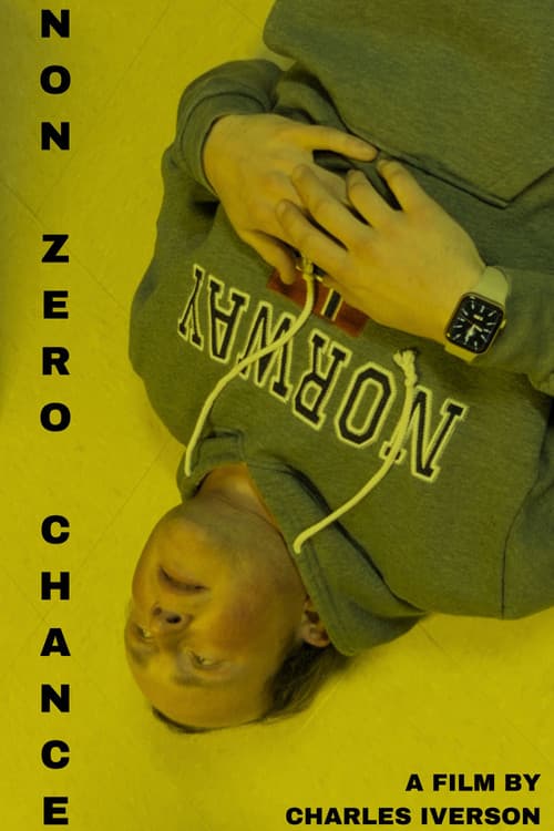 Non Zero Chance (2026) poster