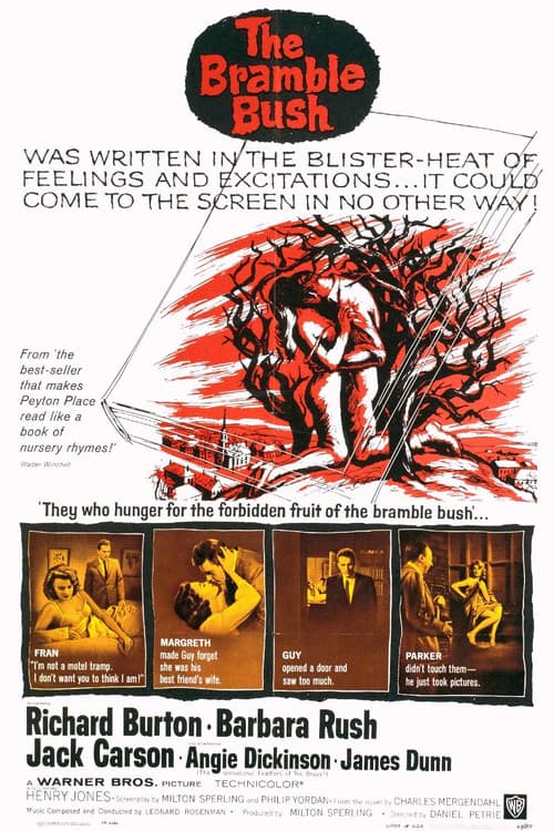 The Bramble Bush (1960) poster