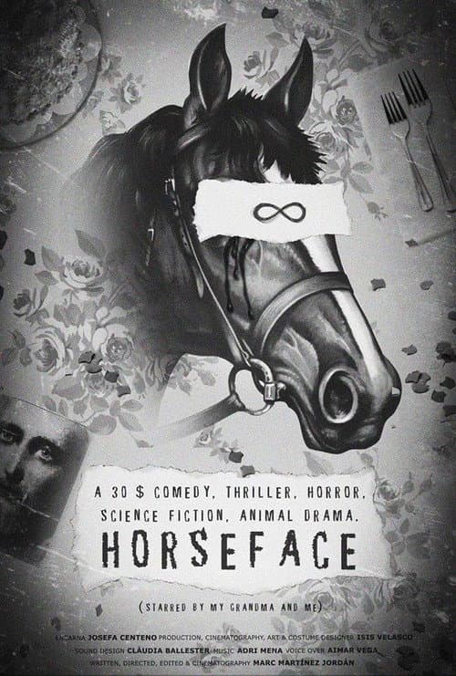 Caradecaballo (2014) poster