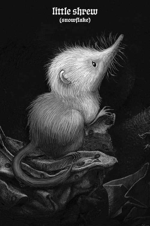 Little Shrew (Snowflake) (2025) poster