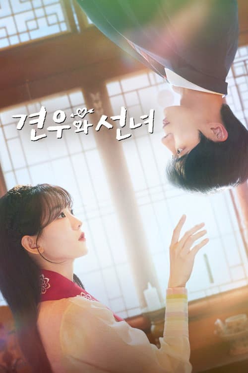 Head Over Heels (2025) poster