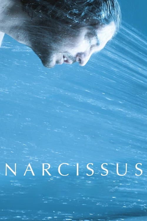 Narcizas (2012) poster