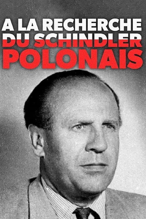 À la recherche du Schindler polonais (2019) poster