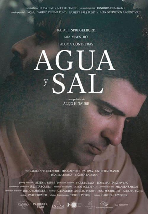 Agua y sal (2012) poster