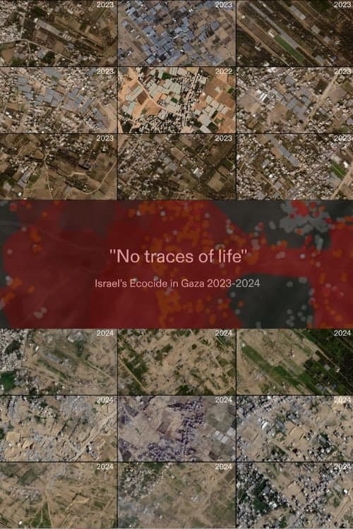 No Traces of Life (2024) poster