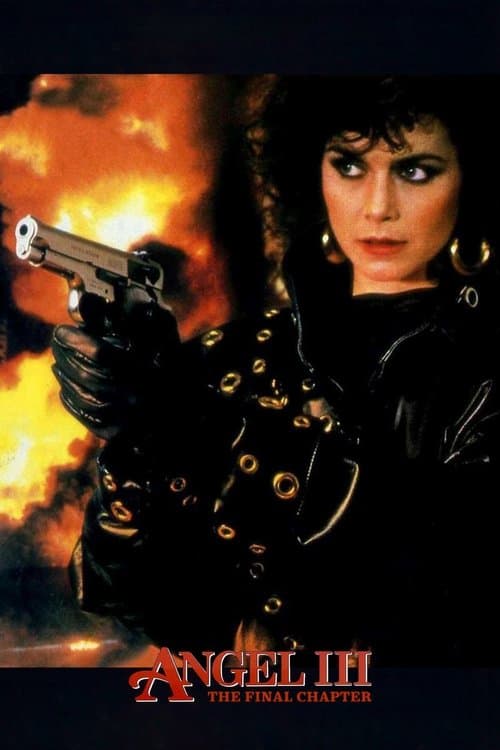 Angel III: The Final Chapter (1988) poster