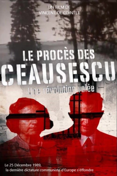 Le Procès des Ceausescu : une révolution volée (2019) poster