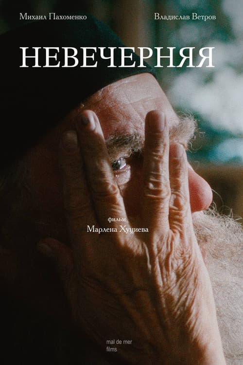 Невечерняя (2026) poster