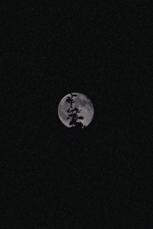 Lunar Visions II (2025) poster