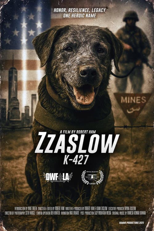 Zzaslow K-427 (2025) poster