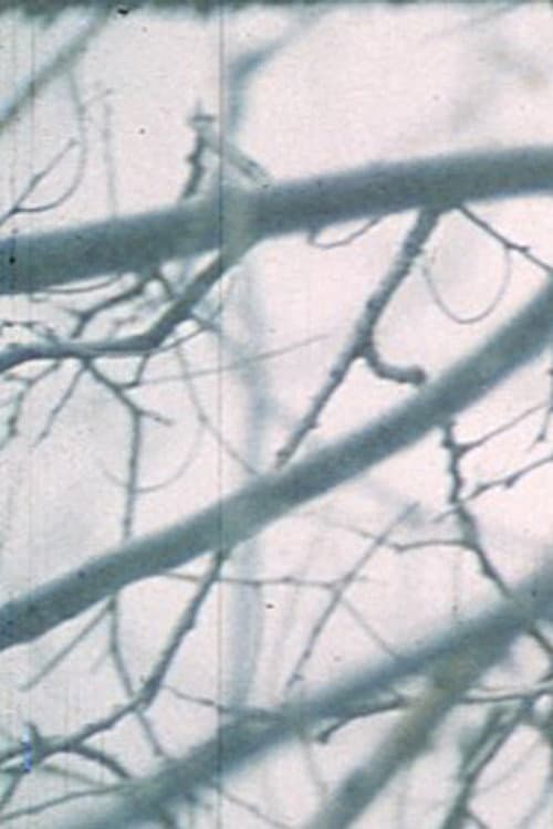 Wintergarden. Hudson River Diary Book: III (1973) poster