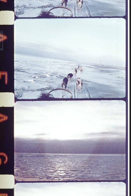 Photophthalmia (1975) poster