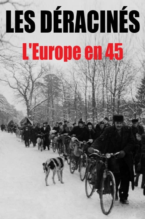 Les déracinés - L'Europe en 45 (2015) poster