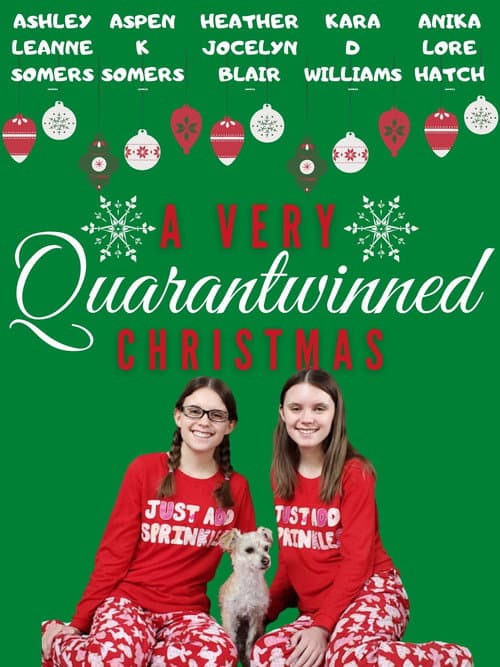 A Very Quarantwinned Christmas (2020) poster