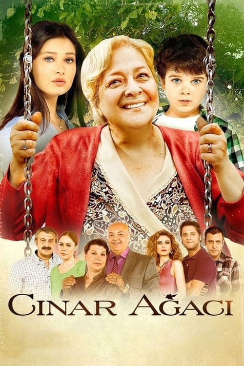Çınar Ağacı (2011) poster