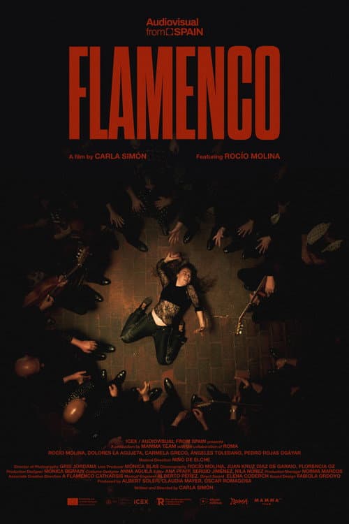 Flamenco (2026) poster