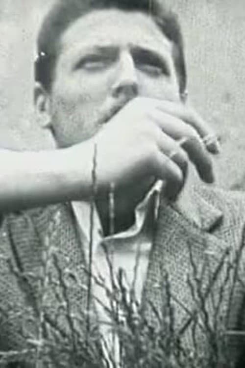 Suncokreti (Preludij; Trakavica; Avantira, Moja gospođa) (1961) poster