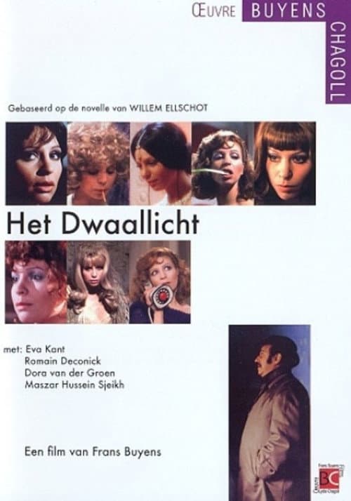 Het Dwaallicht (1973) poster