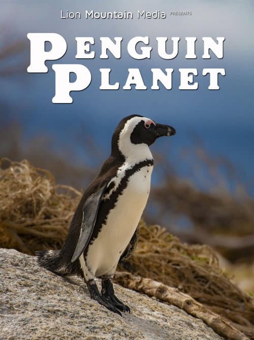 Penguin Planet (2026) poster