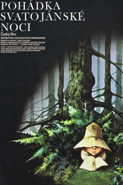 Pohádka svatojánské noci (1982) poster