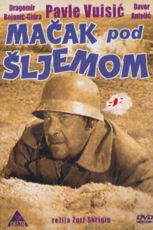 Mačak pod šljemom (1962) poster