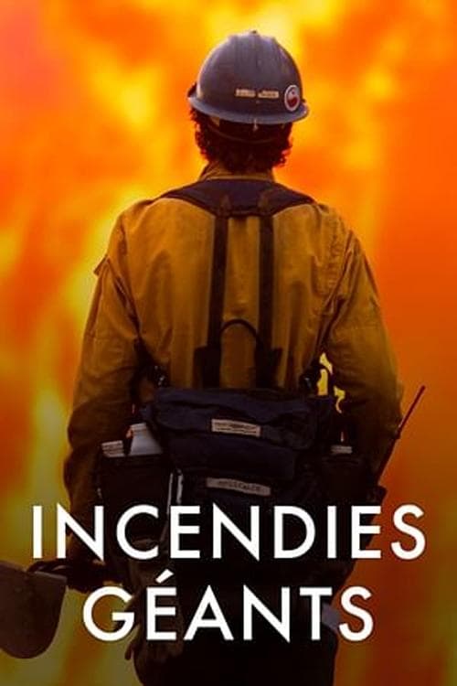 Incendies géants : enquête sur un nouveau fléau (2020) poster
