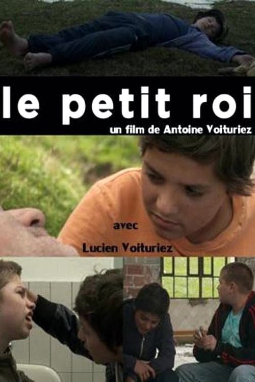 Le Petit Roi (2012) poster