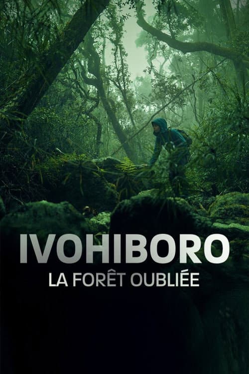 Ivohiboro: La Forêt Oubliée (2024) poster