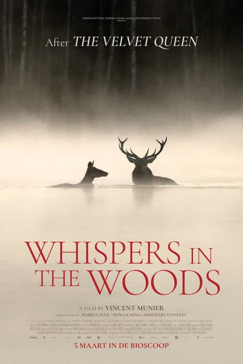 Le Chant des forêts (2025) poster