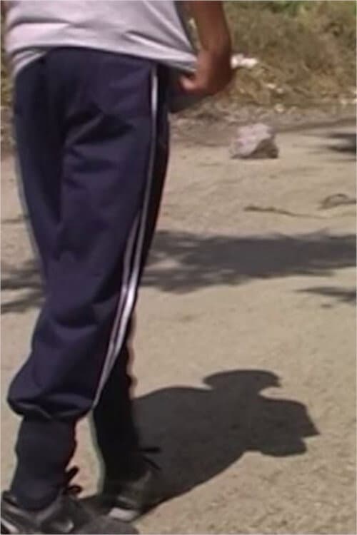 taş atan çocuklar (2010) poster