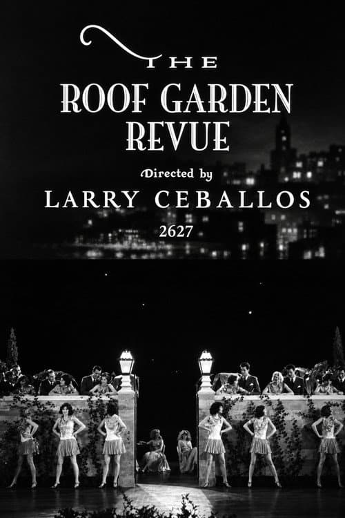 The Roof Garden Revue (1929) poster