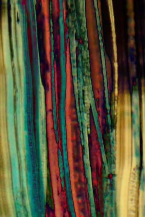 Breathing Room (2016) poster