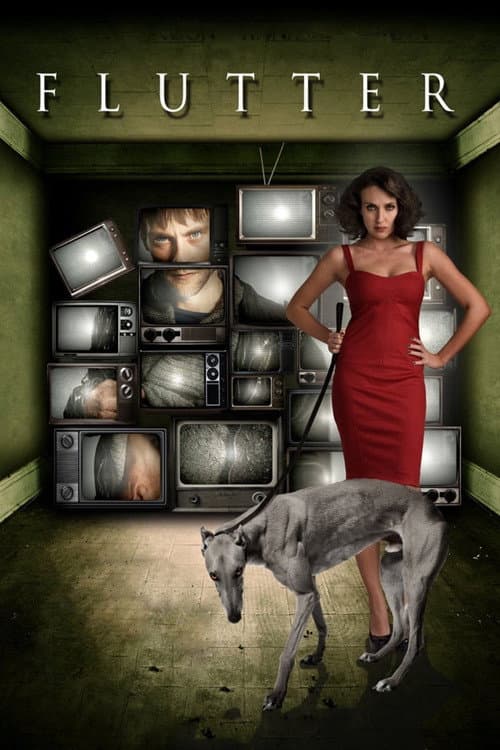 Flutter (2011) poster